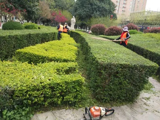 花茎园林景观设计